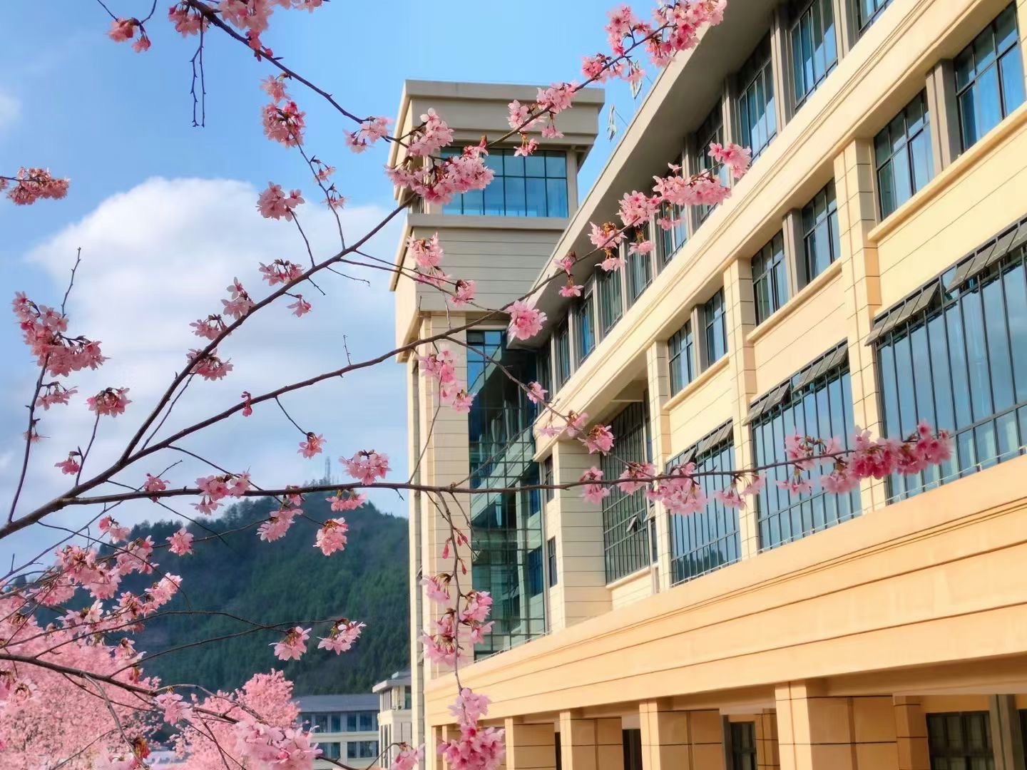 贵州省人民政府《关于公开征集群众身边不正之风和腐败问题线索的公告》